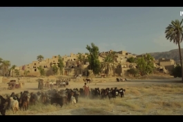 دانلود رایگان قسمت 13 سریال سووشون (نسخه کامل) | دانلود قسمت سیزدهم سریال سووشون قسمت 13