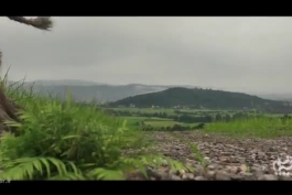 دانلود قسمت 1 سریال پایتخت 8 (قسمت اول فصل جدید) با لینک مستقیم رایگان – بازگشت نقی معمولی با کارگردانی سیروس مقدم