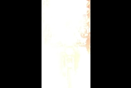 شعاری از الناز شاکردوست در نقش مرد (مهم اخلاقه ، اخلاق) | دانلود فیلم کج پیله ساخته هاتف علیمردانی سال 1404 | کیفیت 360 + 480 + 720 + 1080 + 1080hq + bluery