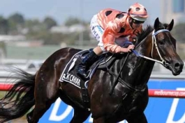 یک مادیان به عنوان بهترین ورزشکار زن استرالیا انتخاب شد!