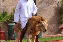 عکس ... خوش گذرانی جدید شیوخ!!!