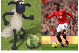 اگه گفتین کدوم ولبکه ؟