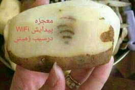 معجزه پیدا شدن WiFi در سیب زمینی، ایمان بیاورید :))