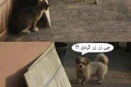 جوووووووووووووووون