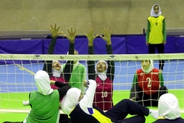 ورزش معلولین - والیبال معلولین