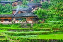‚ یک روستای چینی که مث﻿﻿﻿﻿﻿﻿﻿﻿ل نق﻿﻿اشی رن﻿گ ﻿روغن ﻿﻿م﻿ی ﻿﻿مو﻿﻿﻿نه