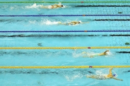 فدراسیون شنا، شیرجه و واترپلو - مسابقات شنای کشور های آسیای میانه