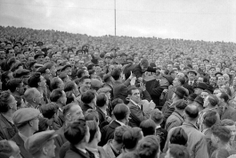  Stamford  Bridge little boy