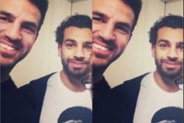 فابرگاس : گود لاک حبیبی