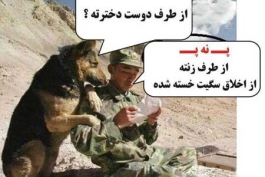 پ ن پ خیلی باحال