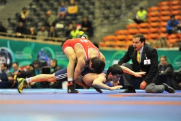   اعضای شورا و کمیته فنی کشتی فرنگی مشخص شدند