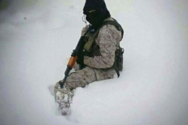 با دم شیر بازی نکنید ....