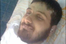 شهدا 