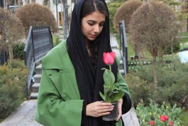 ورزشکاران ایران - ورزش بانوان- شطرنج