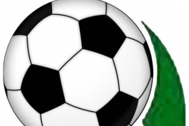 تماشای لیگ برتر در ورزشگاه آزادی: از دوم مرداد فقط با بلیت الکترونیک