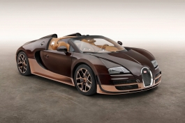 Bugatti-Veyron_Rembrandt_Bugatti_2014_1600x1200_wallpaper