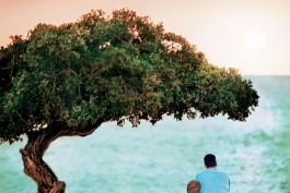 آرامش 