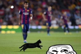 اين گربه بيشتر از فرمايلن تو زمين بوده:|