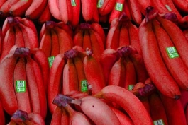 برای کسانی که موز قرمز ندیدن