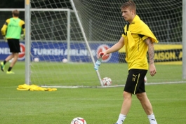 مصدومیت رویس