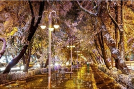 خیابان چهار باغ اصفهان