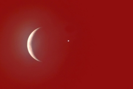 Türkçe ~ C*~Müzik