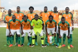 تیم ملی ساحل عاج- جام ملت های آفریقا-فیل ها