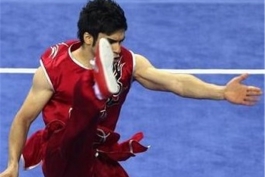 پایان جام جهانی تالو با کسب چهار مدال برای ورزشکاران ایران