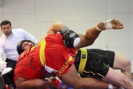 رقابت‌های لیگ برتر ووشو 