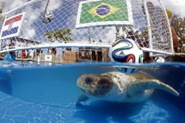 پیش گوی جدید رقابت های جام جهانی، کابسائو: برزیل برنده دیدار افتتاحیه خواهد شد