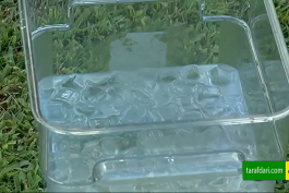 ویدیو؛ هاندانوویچ، الکسیس سانچز را به چالش سطل آب یخ فرا خواند