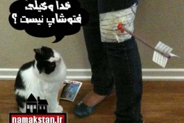 با حال 7