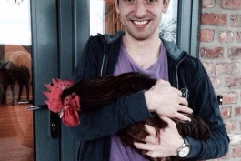 خروس باز ولزی 