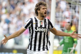 The lion is out of his cage