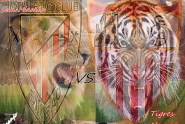 leones vs tigers
