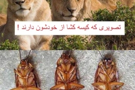  خخخخخخخخخخخخخخخخخخ  خخخخخخخخخخخخخخخخخ