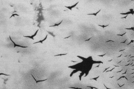 موزیکهایی که از دنیای دیگری میایند - بخش بیست و دوم (علی بارسلونا ارسنال پرسپولیس) حماسه + احساس