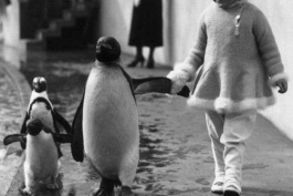 اهنگهایی که بر شادیتان می افزاید ...  بخش 7 (علی بارسلونا آرسنال پرسپولیس)