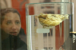 نظرسنجی-جنجالی ترین انتقال تاریخ فوتبال؟