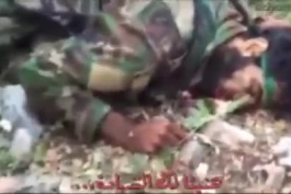 این راه ادامه دارد..