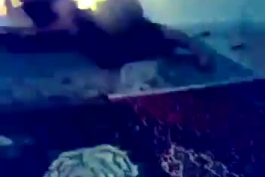 🔥شوخی خرکی 🔥