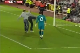 زیباترین گل فصل