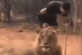 قیافه فقط قیافه شیره:))))