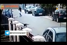 نجات زن گرفتار در چنگ دزد توسط سگ ولگرد