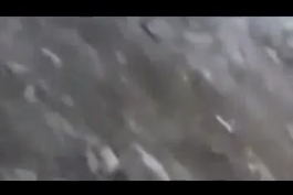 حتما ببینین خخخخخخخخ 