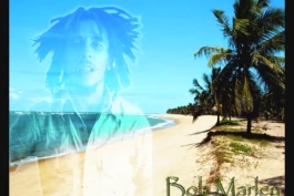 طرفدارای تیم هایی که امروز اتفاقات بد برای تیماشون افتاده بیان