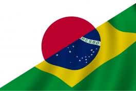 برزیل / Brazil 