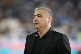 هوادار