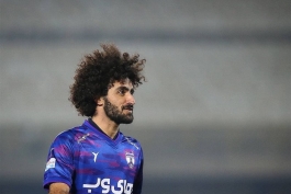 هوادار