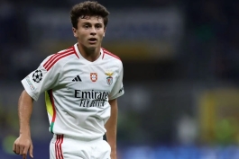 هافبک بنفیکا